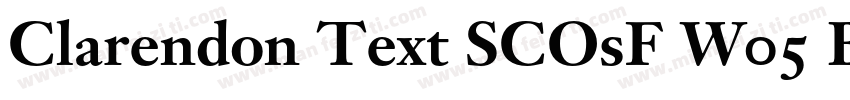 Clarendon Text SCOsF W05 Bold字体转换
